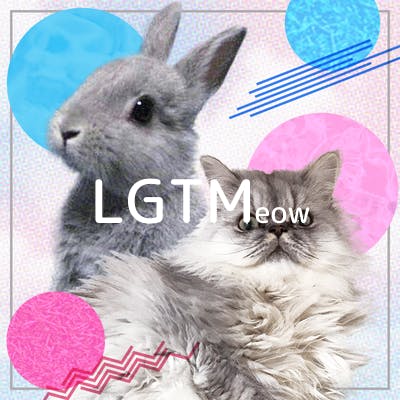 lgtm-cat-image