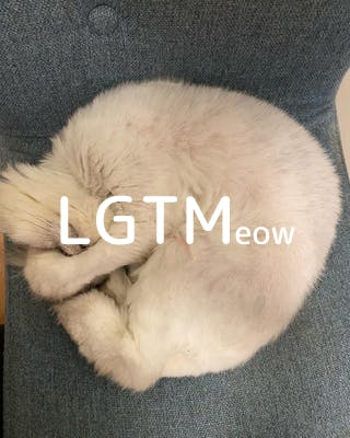 lgtm-cat-image